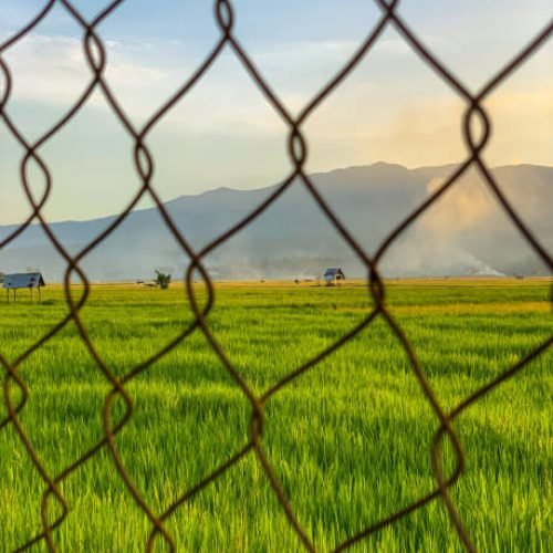 View of rice fields, rice fields, hills and blue sky from behind a wire fence