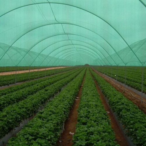 green-agro-shade-nets